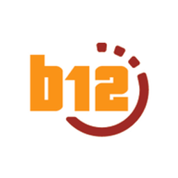 b12 AG Logo