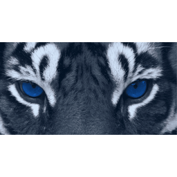 BeastBI GmbH Logo