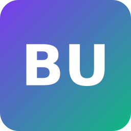 BIRD UX Studio Logo