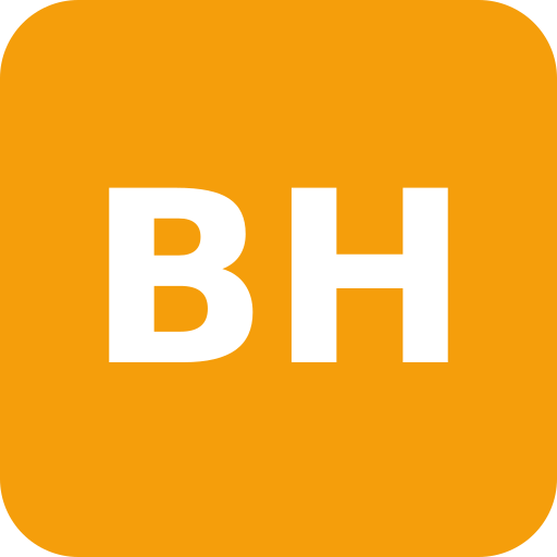 BITREFORM UG (haftungsbeschränkt) Logo