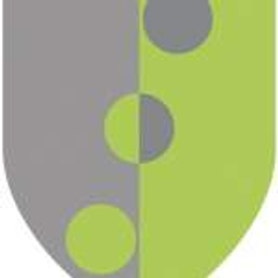 dotflow digital solutions GmbH Logo