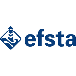 efsta IT Services GmbH Logo