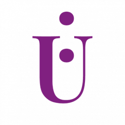 Flügge Consulting Logo