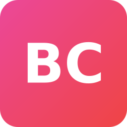 Bodensee Controlling Logo