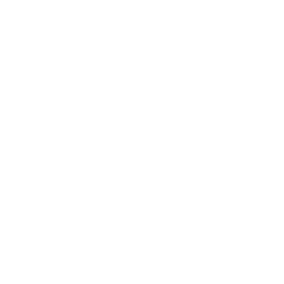 ganscool Media Logo