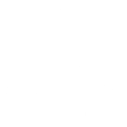 Giesswein Software-Solutions Logo