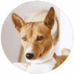 hallowebsite (Pierre Hansen) Logo