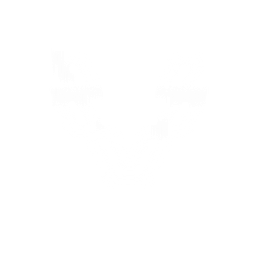 HAMMELSPRUNG GmbH Logo