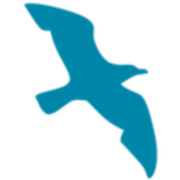 hansolu Logo