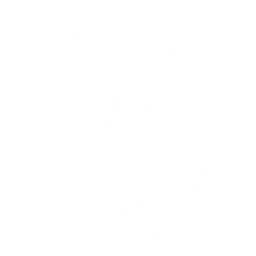 IdTify Logo