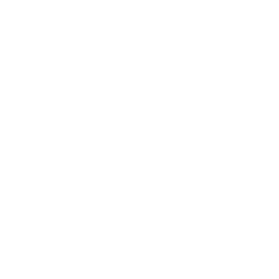 Impulsive Projects – Priyanka Dutta Logo