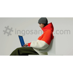 ingosander Logo