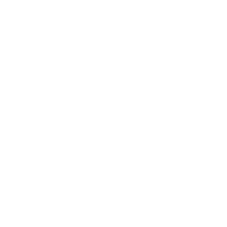 Jellyfish.video Logo