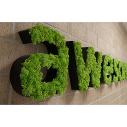 awesome Logo