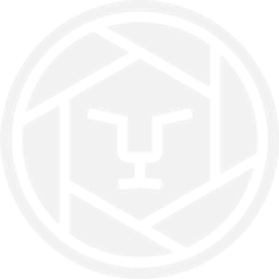 lionsmedia agency Logo