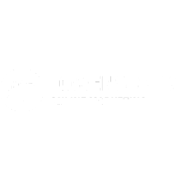 Löwenstark Online Marketing GmbH Logo
