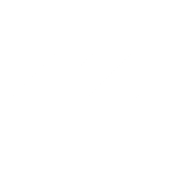 MESSMANN-VERSICHERT Logo