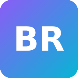 BRL Risk Consulting GmbH & Co. KG Logo