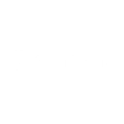 NTT Data Logo
