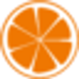 netzorange Logo