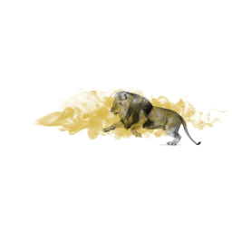ONLION Marketeers AG Logo