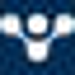 Plachy IT-Solutions GmbH Logo