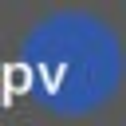 public vision GmbH Logo
