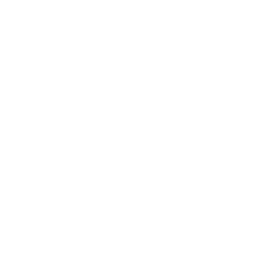 puremotion Media Logo