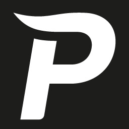 Pintor Werbeagentur Logo
