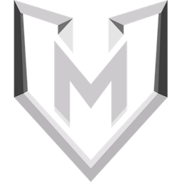VM Security Logo