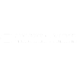 Schlecht und Partner Logo