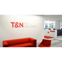 T&N / Televis Logo