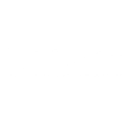 Brielmaier GmbH & Co. KG Logo