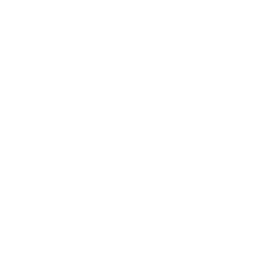 TÜV Saarland Consulting GmbH Logo