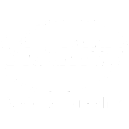 Visality Consulting GmbH Logo
