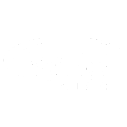 WBS IT-Service GmbH Logo