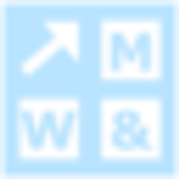 Websiteandmore Logo