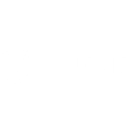 Wenobis IT GmbH Logo