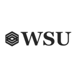 WSU Wiesbaden Wirtschaftsprüfungsgesellschaft Logo