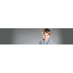 ZECH·IT Systemhaus Logo